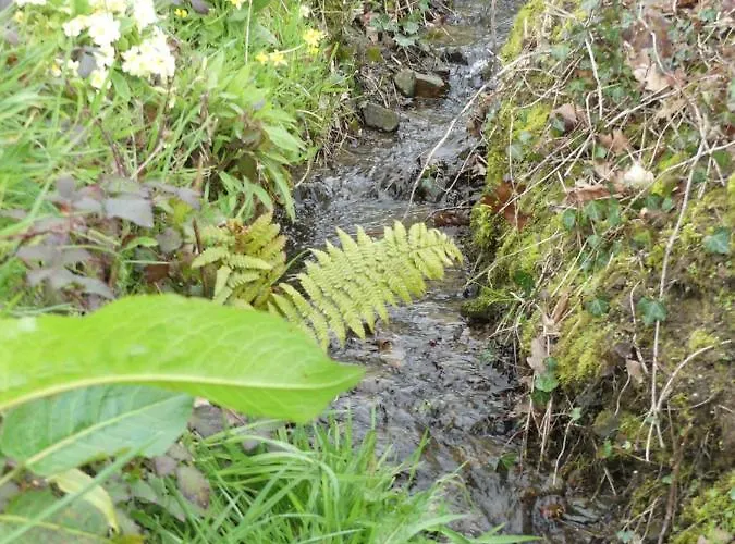 Reves De Baie - D'hotes Cosy Avec Table Bio Et Massages - Vue Panoramique Exceptionnelle * Tirepied-sur-See