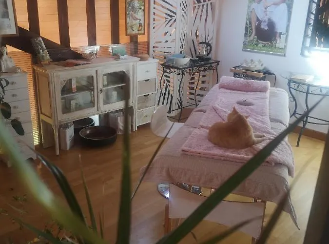 Reves De Baie - D'hotes Cosy Avec Table Bio Et Massages - Vue Panoramique Exceptionnelle לינה וארוחת בוקר