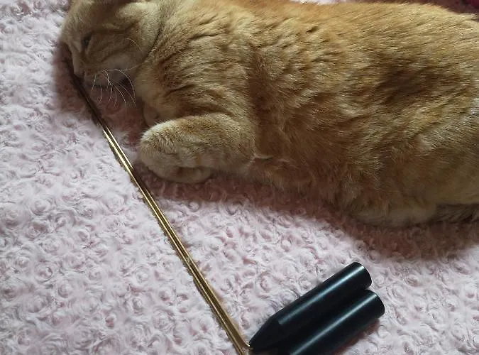 Reves De Baie - D'hotes Cosy Avec Table Bio Et Massages - Vue Panoramique Exceptionnelle לינה וארוחת בוקר Tirepied-sur-See